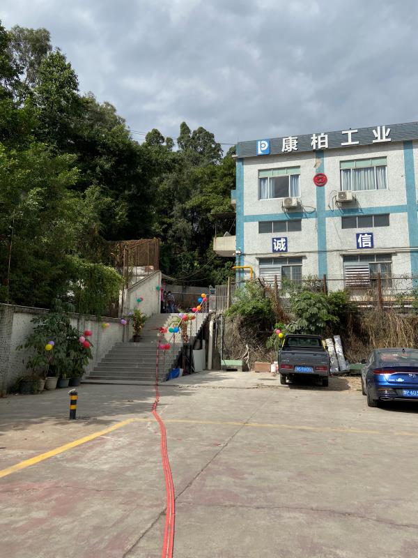 熱烈慶祝康柏工業(yè)再入伙大型現(xiàn)代化天然氣窯爐兩臺并點火成功!